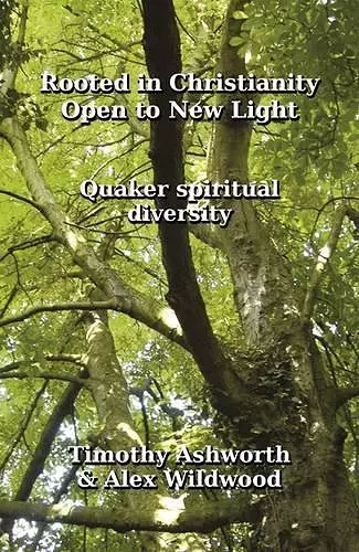 Rooted in Christianity, Open to New Light cover