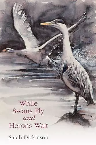 While Swans Fly and Herons Wait cover