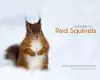 On the Trail of Red Squirrels cover