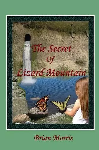 The Secret Of Lizard Mountain cover