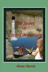 The Secret Of Lizard Mountain cover