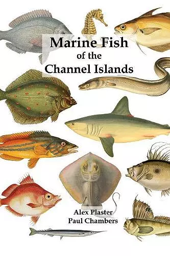 Marine Fish of the Channel Islands cover