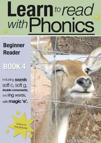 Learn to Read with Phonics cover