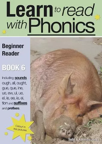 Learn to Read with Phonics cover