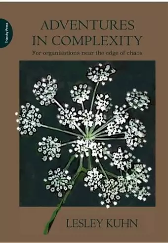 Adventures in Complexity cover