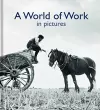 A World of Work in Pictures cover