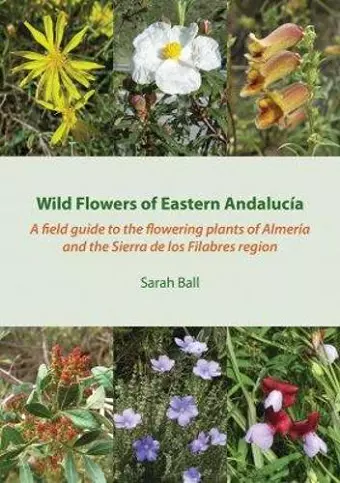 Wild Flowers of Eastern Andalucía cover