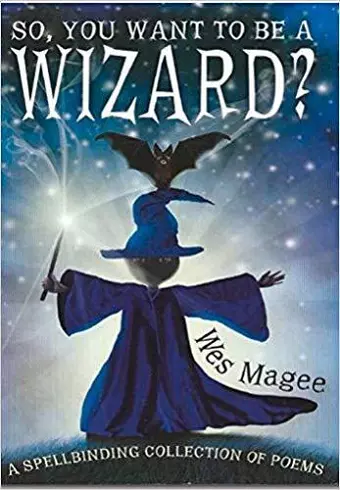 So, You Want to be a Wizard? cover