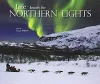 Life beneath the Northern Lights cover