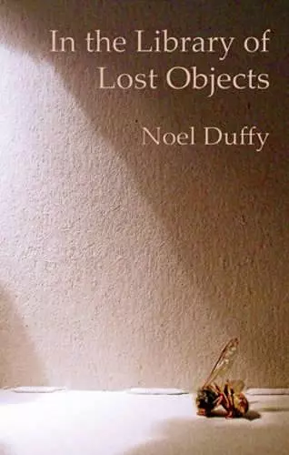 In the Library of Lost Objects cover