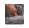 Fox cover