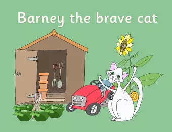 Barney the brave cat cover