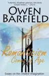 Romanticism Comes of Age cover