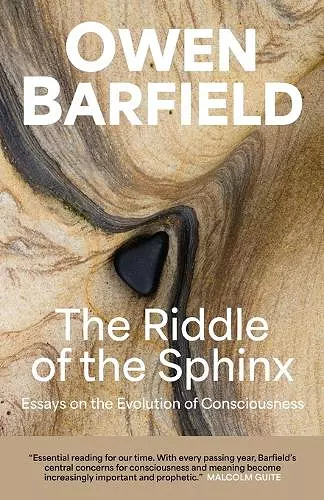 The Riddle of the Sphinx cover