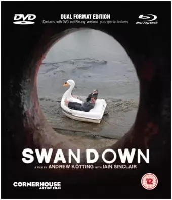 Swandown cover