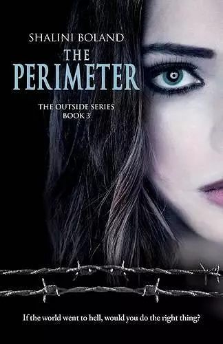 The Perimeter cover