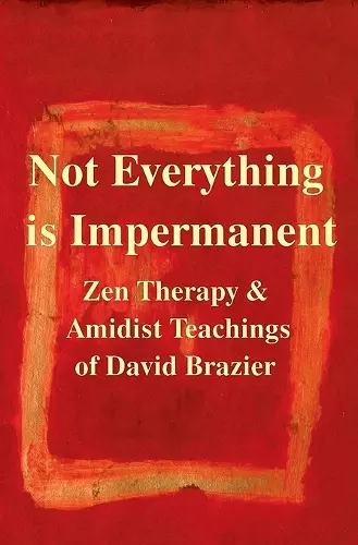 Not Everything is Impermanent cover