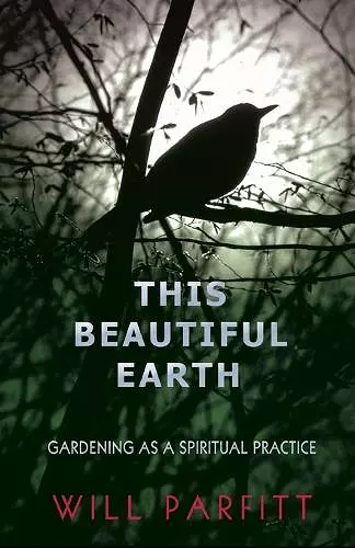 This Beautiful Earth cover