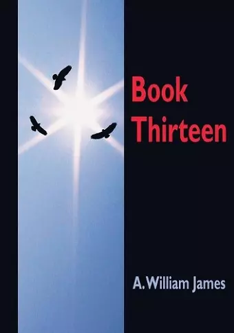 Book Thirteen cover