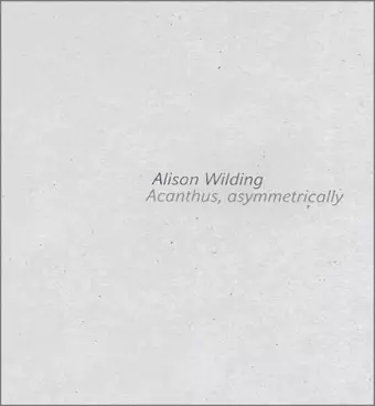 Alison Wilding cover