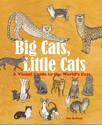 Big Cats, Little Cats cover