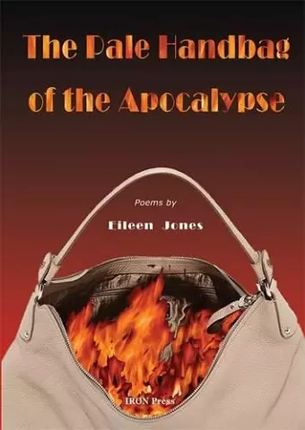 The Pale Handbag of the Apocalypse cover