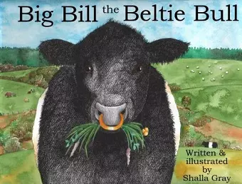 Big Bill the Beltie Bull cover