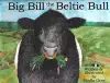 Big Bill the Beltie Bull cover