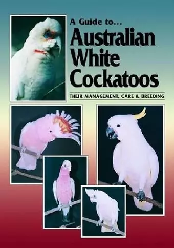 Australian White Cockatoos cover