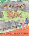 What is Funny? cover