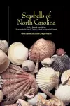 Seashells of North Carolina cover