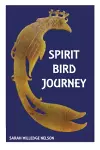 Spirit Bird Journey cover