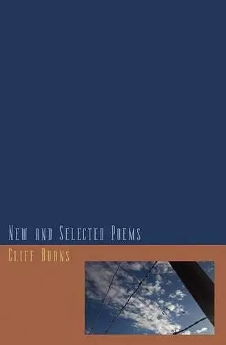 New and Selected Poems (1984-2011) cover