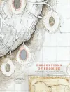 Perceptions of Promise cover