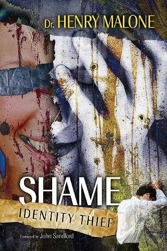 Shame Identity Thief cover