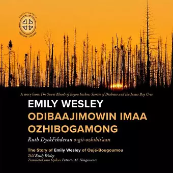 Emily Wesley Odibaajimowin imaa Ozhibogamong cover