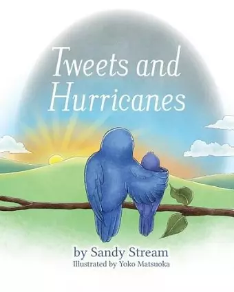 Tweets and Hurricanes cover