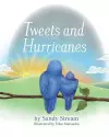 Tweets and Hurricanes cover