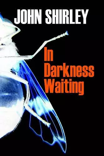 In Darkness Waiting cover