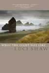 What the Light Was Like cover