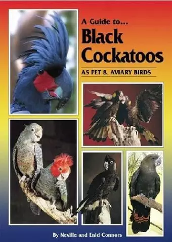 Black Cockatoos as Pet and Aviary Birds cover