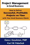 Project Management in Small Business - How to Deliver Successful, Profitable Projects on Time with Your Small Business Clients cover