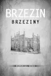 Brzezin Memorial Book cover