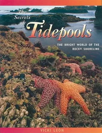 The Secrets of Tidepools cover