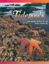 The Secrets of Tidepools cover