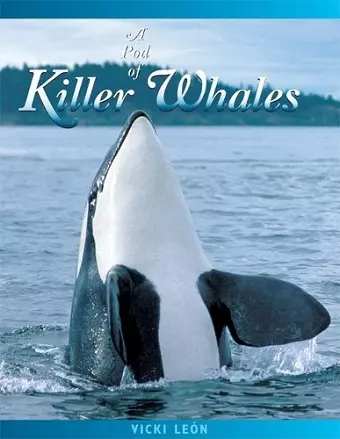 A Pod of Killer Whales cover