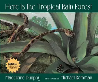 Here Is the Tropical Rain Forest cover