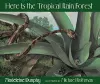 Here Is the Tropical Rain Forest cover