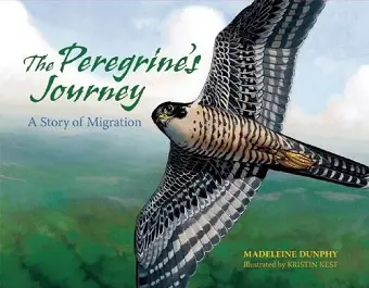 The Peregrine's Journey cover