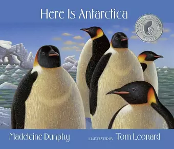 Here Is Antarctica cover